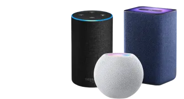 Voice control