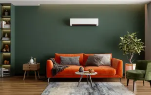 Climate